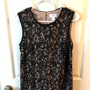 Black and Tan Loft Dress
